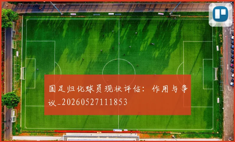 国足归化球员现状评估：作用与争议_20260527111853